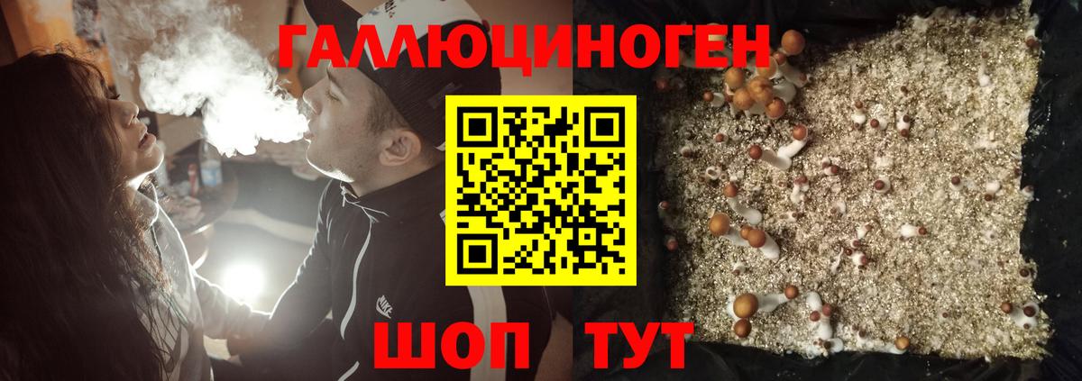 Новоуральск  хочу   Вход с VPN  Галлюциногенные грибы Psilocybine cubensis  Галлюциногенные грибы MAGIC MUSHROOMS 