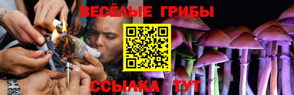 Галлюциногенные грибы Psilocybine cubensis Новоуральск